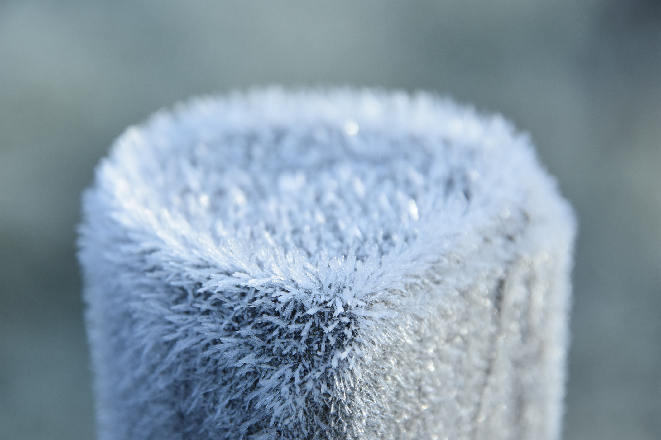 GettyImages 2208758531